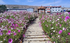 被打得不敢坐凳子WRITEAS